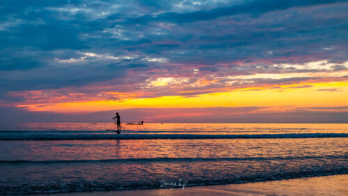 Île d'Oléron / Charente-Maritime