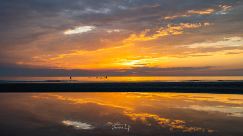 Île de Ré / Charente-Maritime