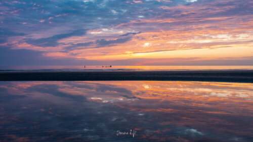 Île d'Oléron / Charente-Maritime