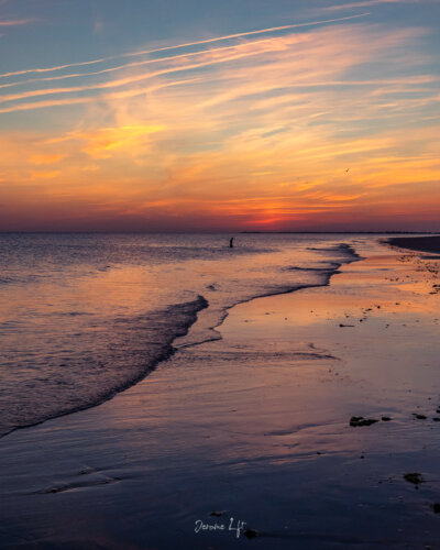 Île de Ré / Charente-Maritime
