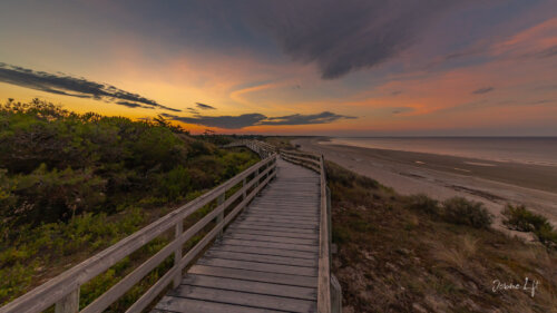 Île de Ré / Charente-Maritime