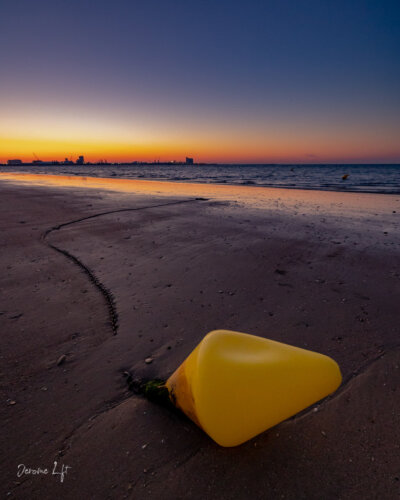 Île de Ré / Charente-Maritime