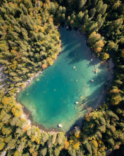 Lac Vert / Haute-Savoie